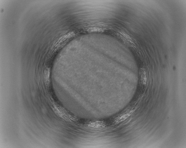 X0000058780550200510211751