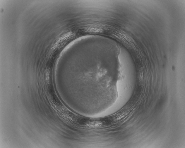 X0000058780551200510211751