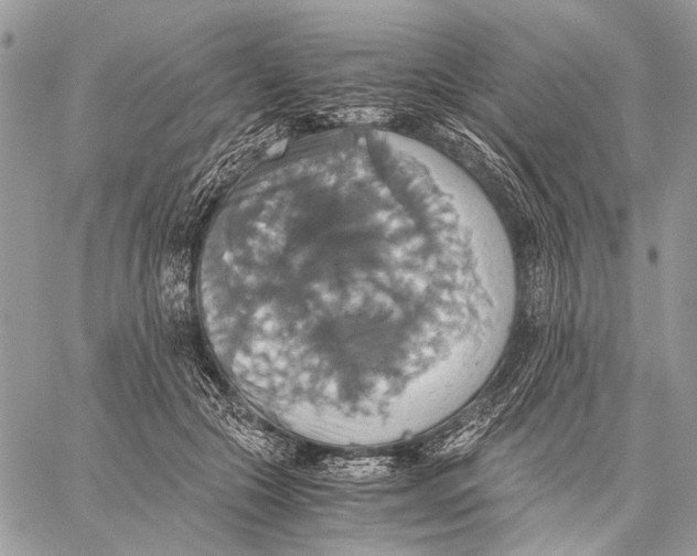 X0000058780553200510211751