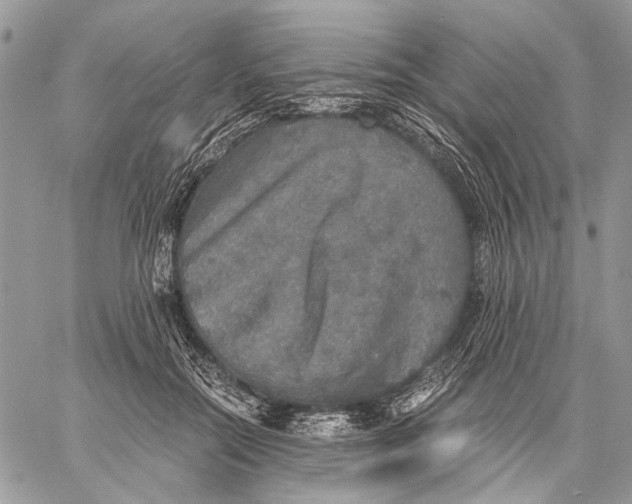 X0000058780554200510211751