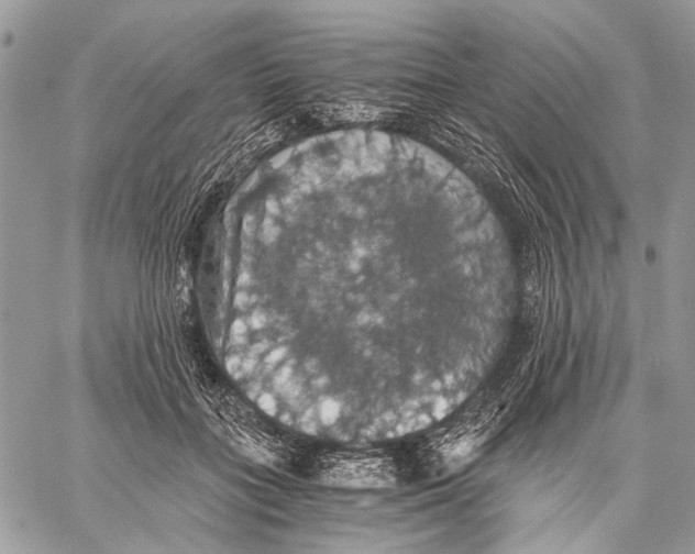 X0000058780555200510211751