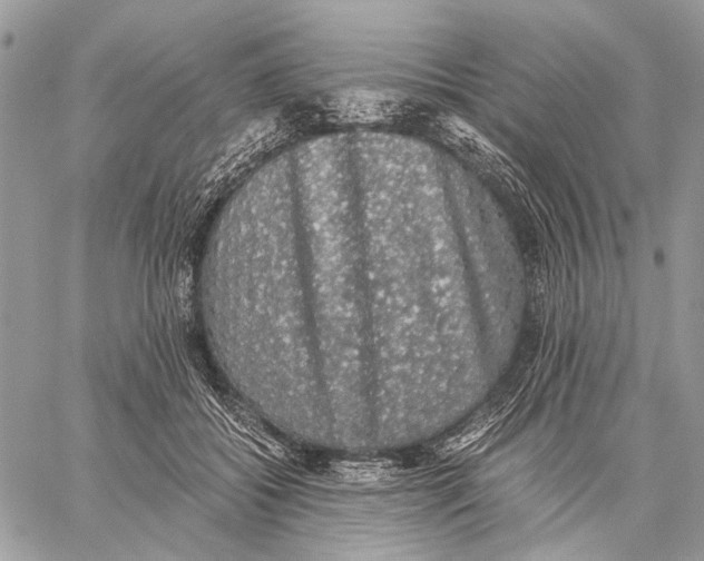 X0000058780556200510211751