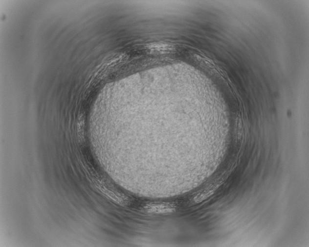 X0000058780557200510211751