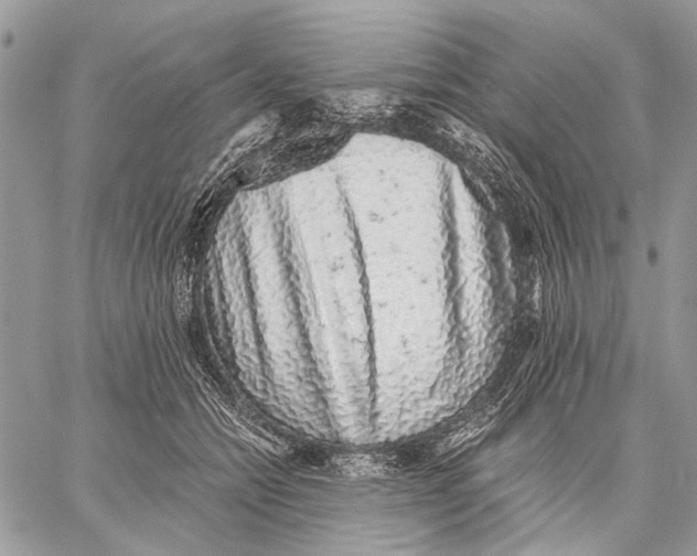 X0000058780558200510211751