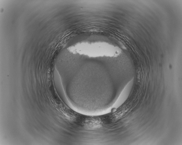 X0000058780559200510211751