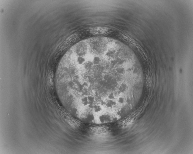 X0000058780561200510211751