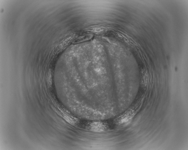 X0000058780562200510211751