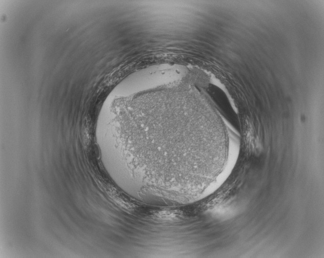 X0000058780566200510211751