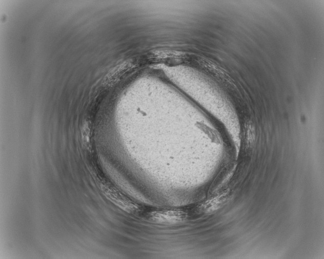 X0000058780567200510211751