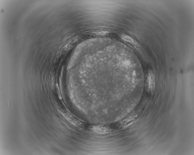 X0000058780568200510211751