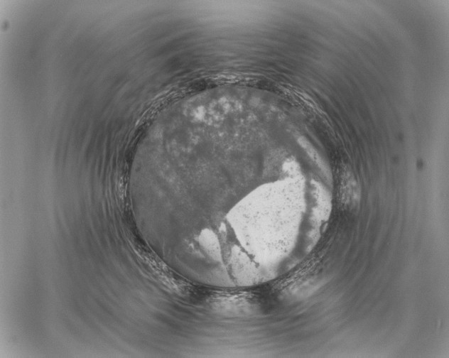 X0000058780569200510211751