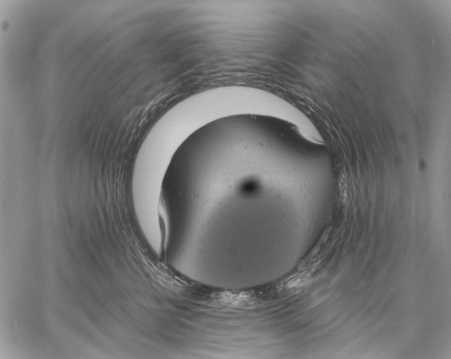 X0000058780570200510211751