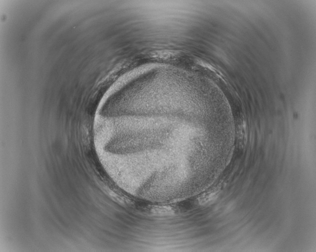 X0000058780572200510211751