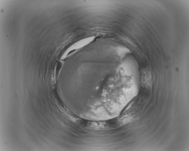 X0000058780573200510211751