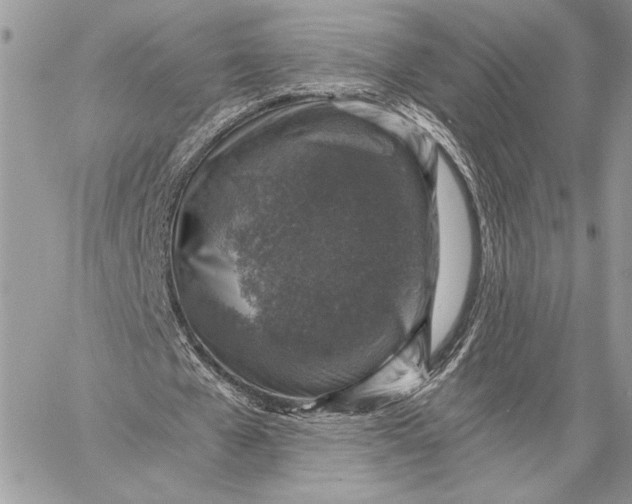 X0000058780577200510211750