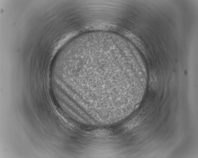 X0000058780578200510211750