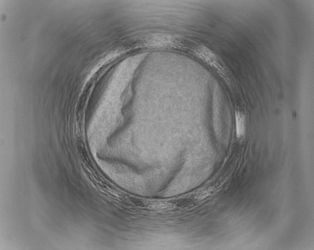 X0000058780579200510211750