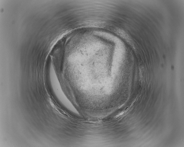 X0000058780580200510211750