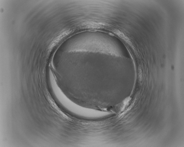 X0000058780581200510211750