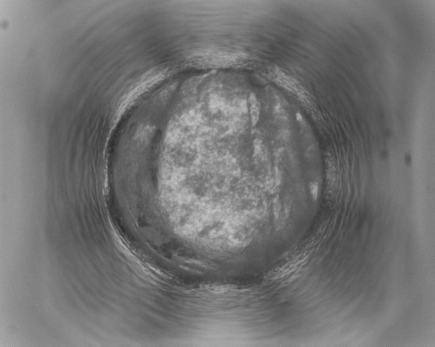 X0000058780582200510211750