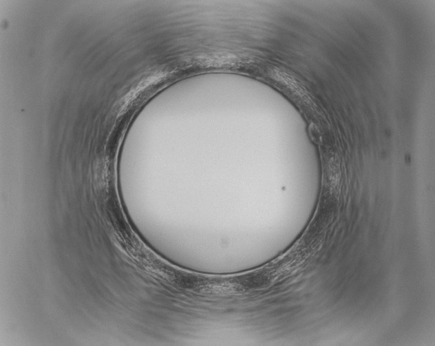 X0000058780583200510211750