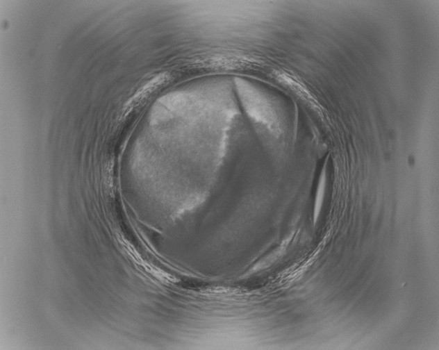 X0000058780585200510211750