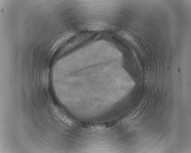 X0000058780586200510211750