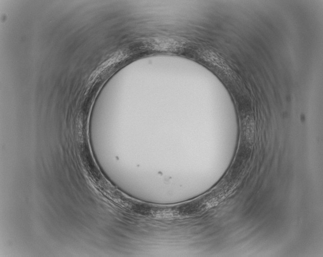 X0000058780587200510211750