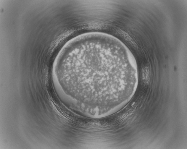 X0000058780588200510211750