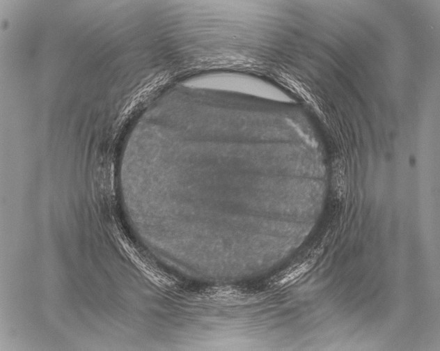 X0000058780589200510211750