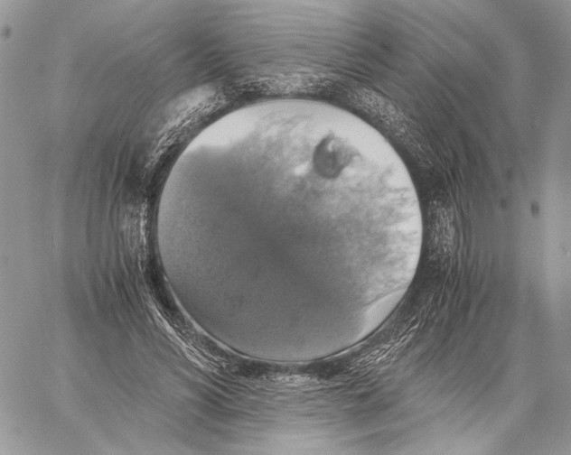 X0000058780590200510211750