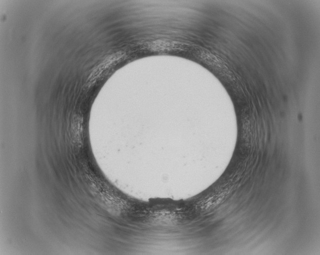 X0000058780592200510211750