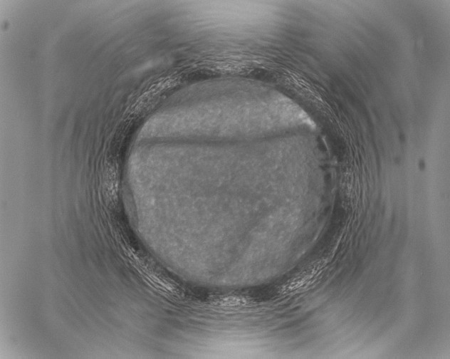 X0000058780593200510211750