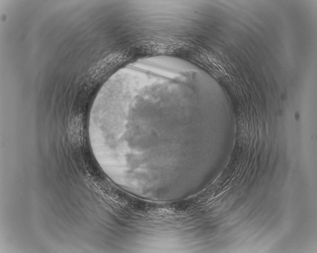 X0000058780594200510211750