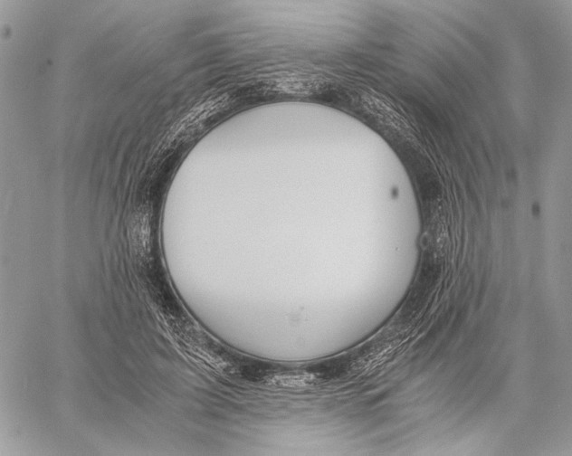 X0000058780595200510211750