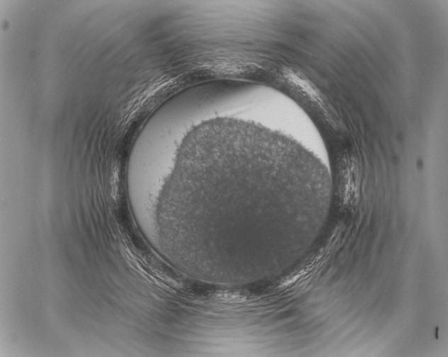 X0000058780596200510211750