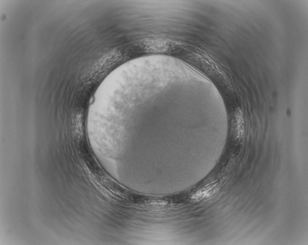 X0000058780598200510211750