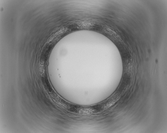 X0000058780599200510211750