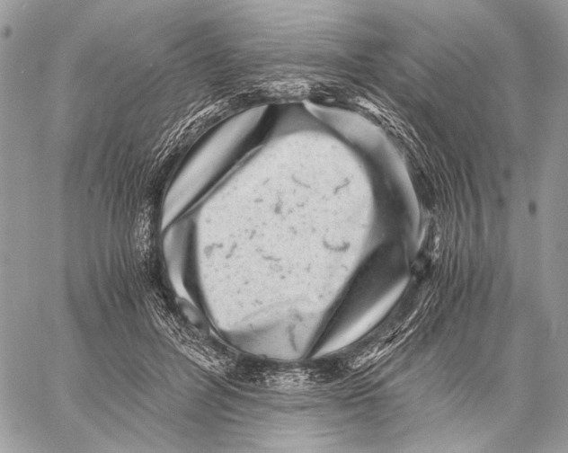 X0000058780600200510211750