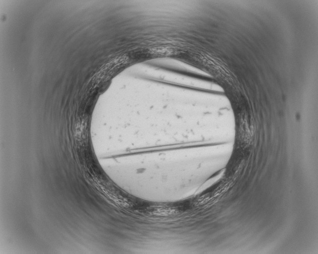 X0000058780601200510211750