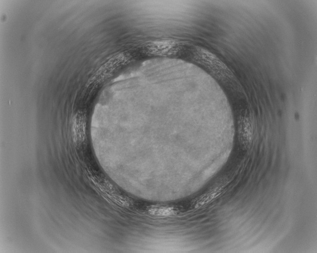 X0000058780602200510211750