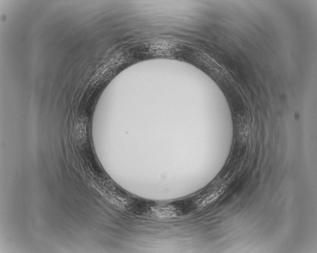 X0000058780603200510211750