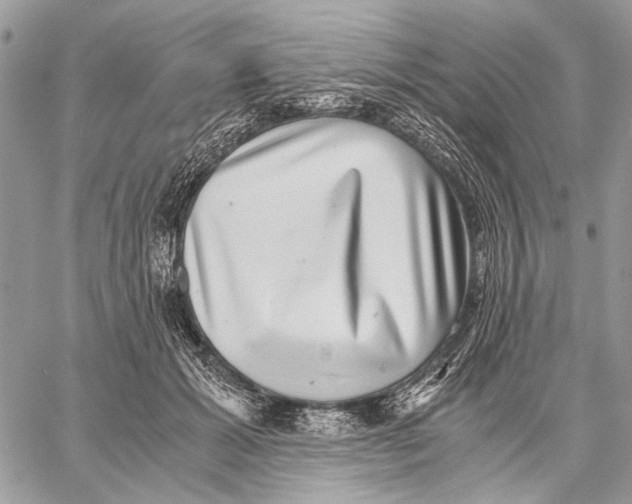 X0000058780605200510211750