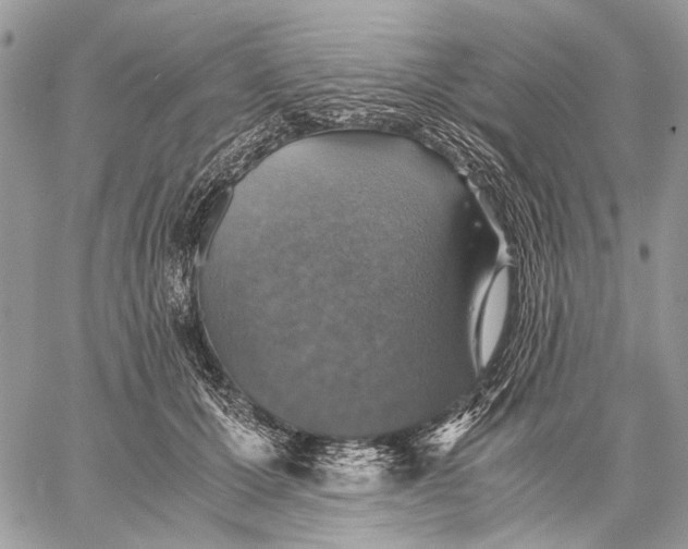 X0000058780607200510211750