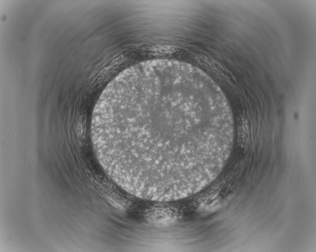 X0000058780608200510211750