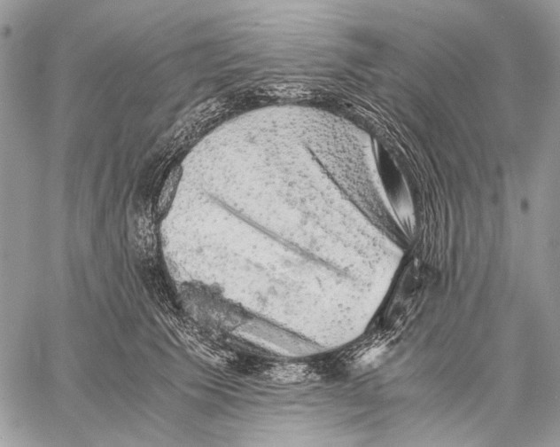 X0000058780609200510211750