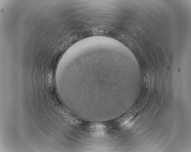 X0000058780610200510211750