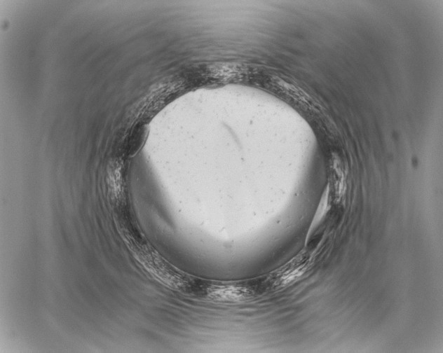 X0000058780611200510211750