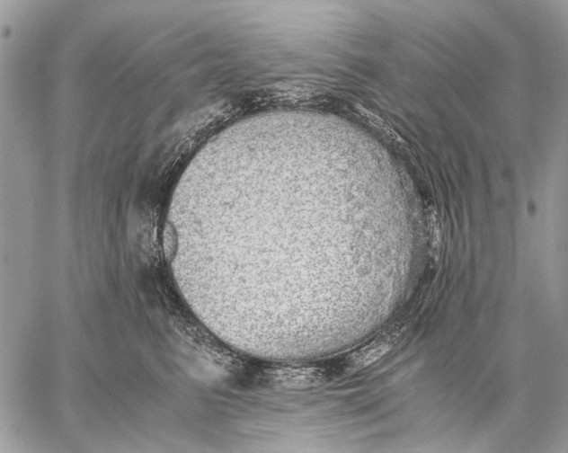 X0000058780615200510211750