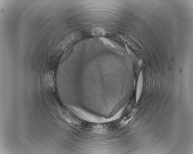 X0000058780616200510211750